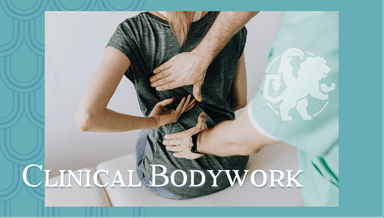 Image for Clinical Bodywork